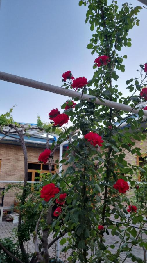 Hostel Muborak Samarkand Exterior photo