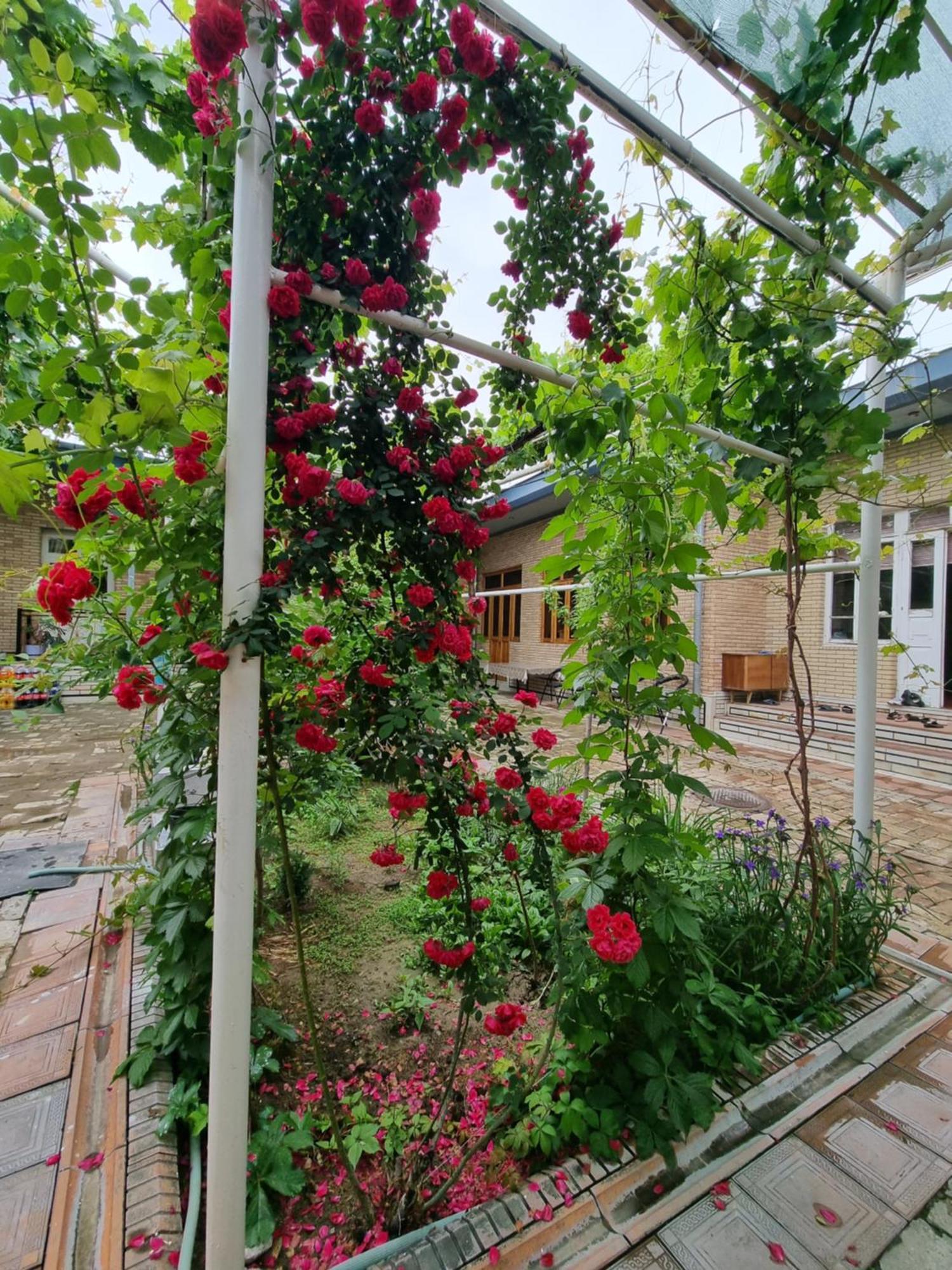 Hostel Muborak Samarkand Exterior photo